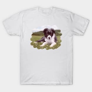 Border Collie Painting T-Shirt